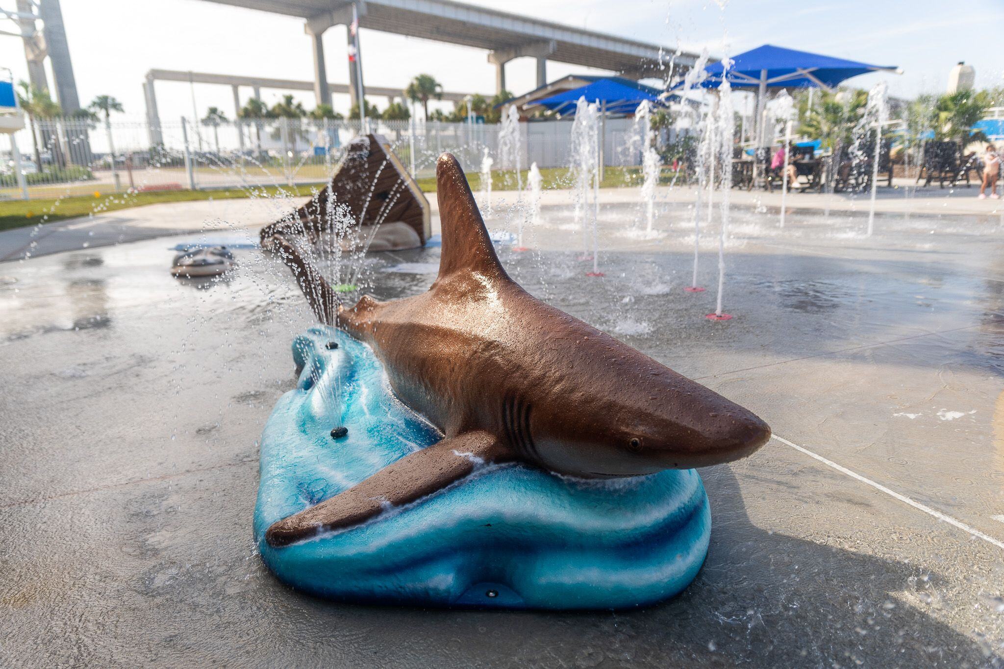 HEB Splash Park - Texas State Aquarium